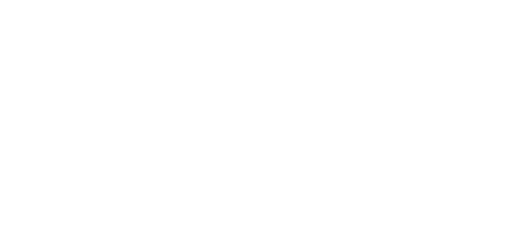 Lancement de Intra News Digital 