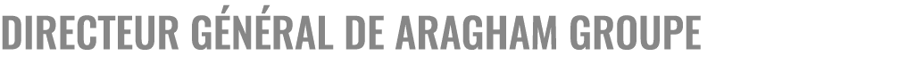 Directeur g n ral de Aragham Groupe